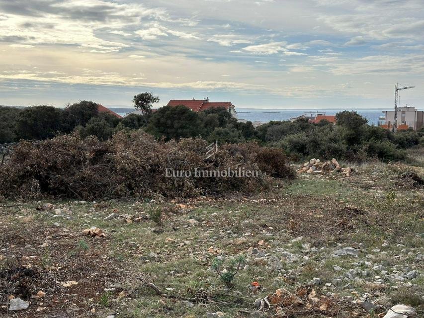 Land in Mandre, Croatia 5 - 17979699