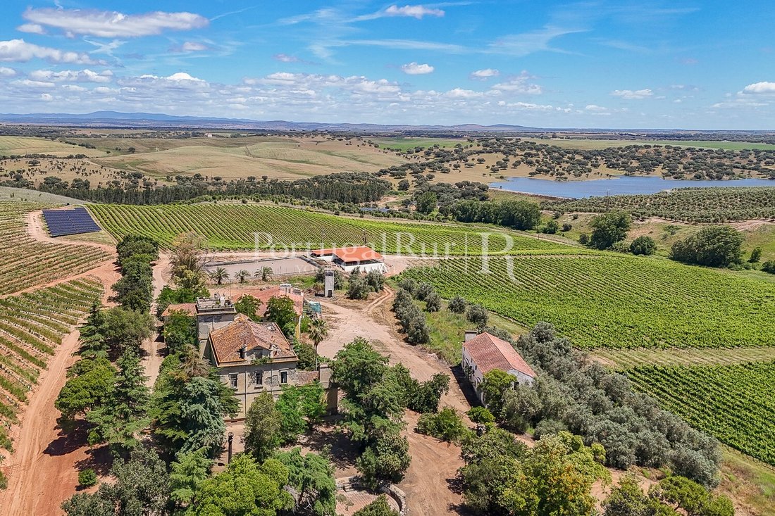 Finca in Sousel, Portalegre District, Portugal 3 - 14968414