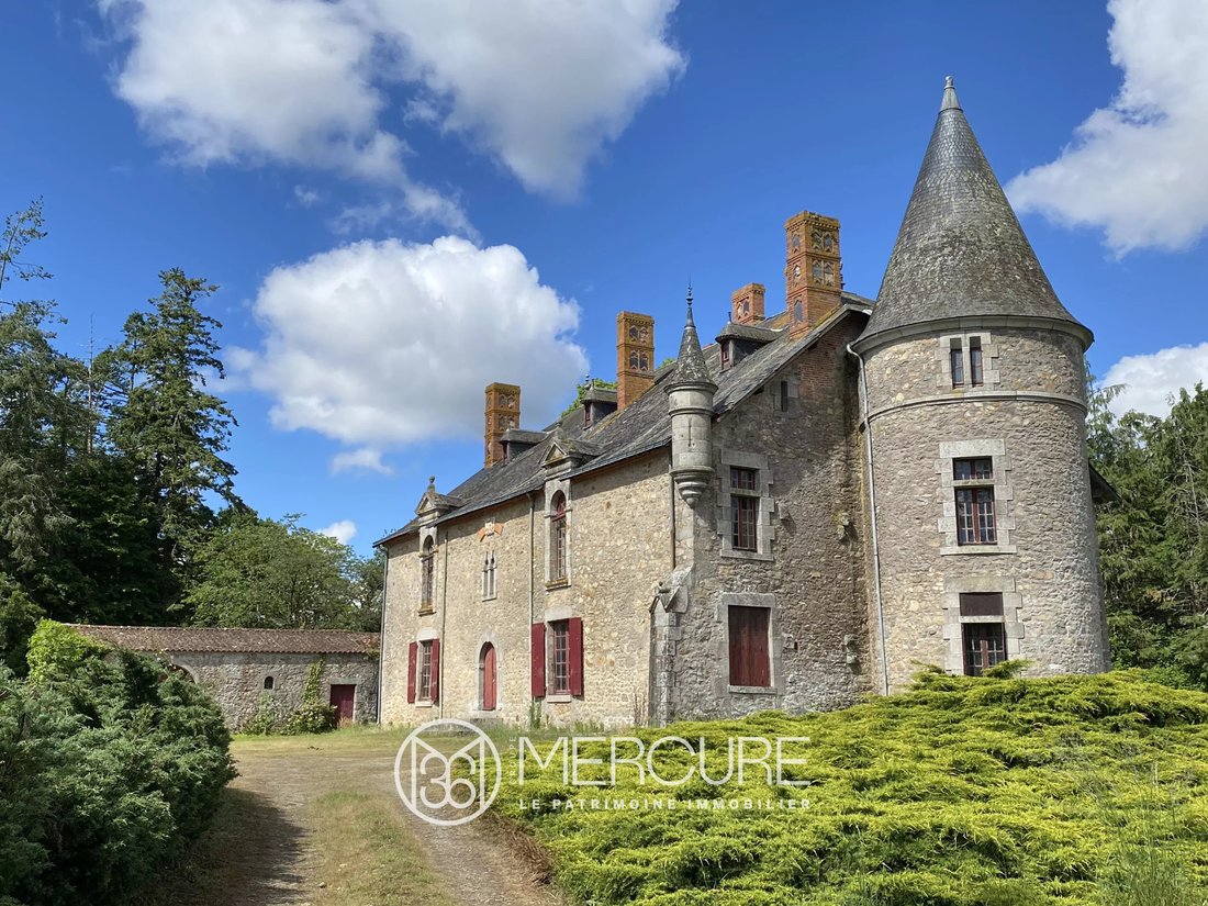 Castle in Moutiers-les-Mauxfaits, Pays de la Loire, France 1 - 17980320