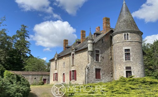 Castle in Moutiers-les-Mauxfaits, Pays de la Loire, France 1