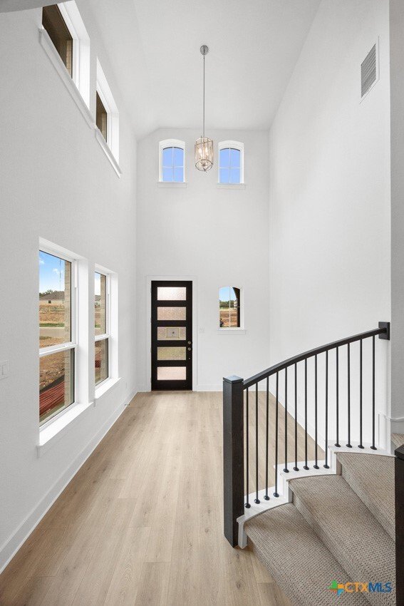 House in Georgetown, Texas, United States 5 - 17171288