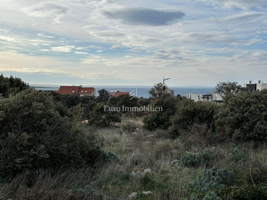 Land in Mandre, Croatia 4 - 17979699