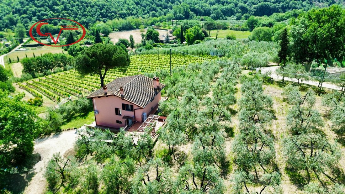 Villa in Frazioni Collinari, Montevarchi, Tuscany 4 - 16412446