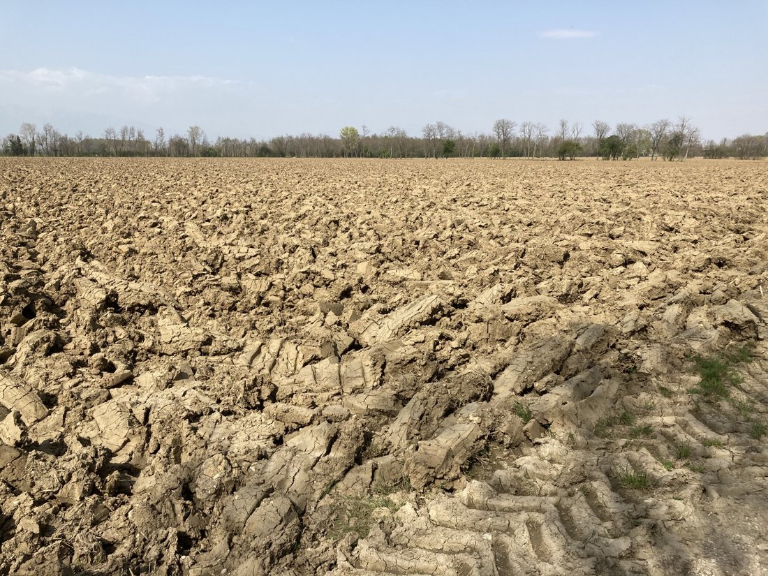 Land in Castello di Godego, Veneto, Italy 1 - 17980505