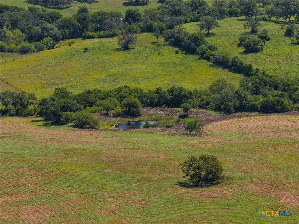 House in Seguin, Texas, United States 5 - 16584388