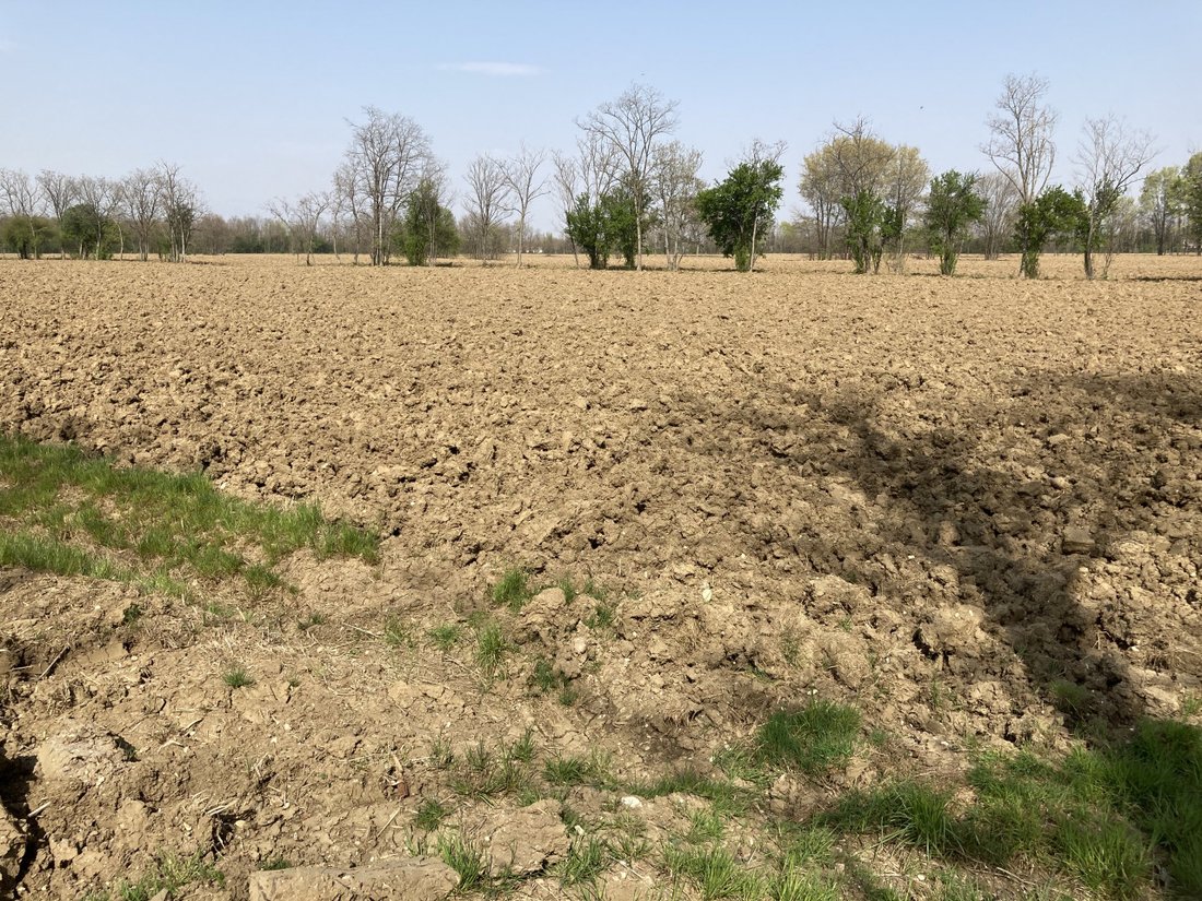 Land in Castello di Godego, Veneto, Italy 3 - 17980505