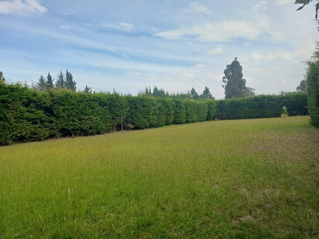 Land in Quito, Pichincha, Ecuador 2 - 17978157
