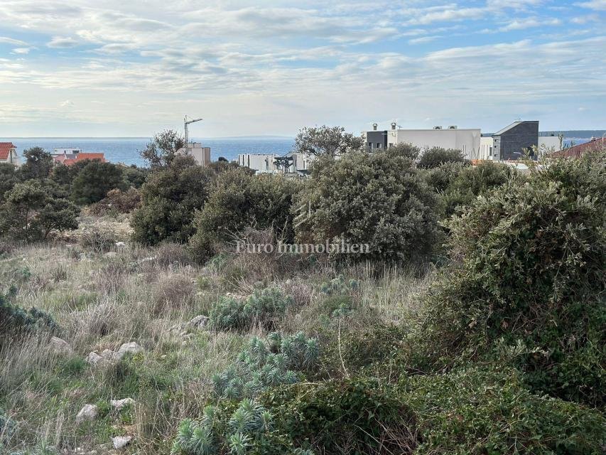Land in Mandre, Croatia 2 - 17979699
