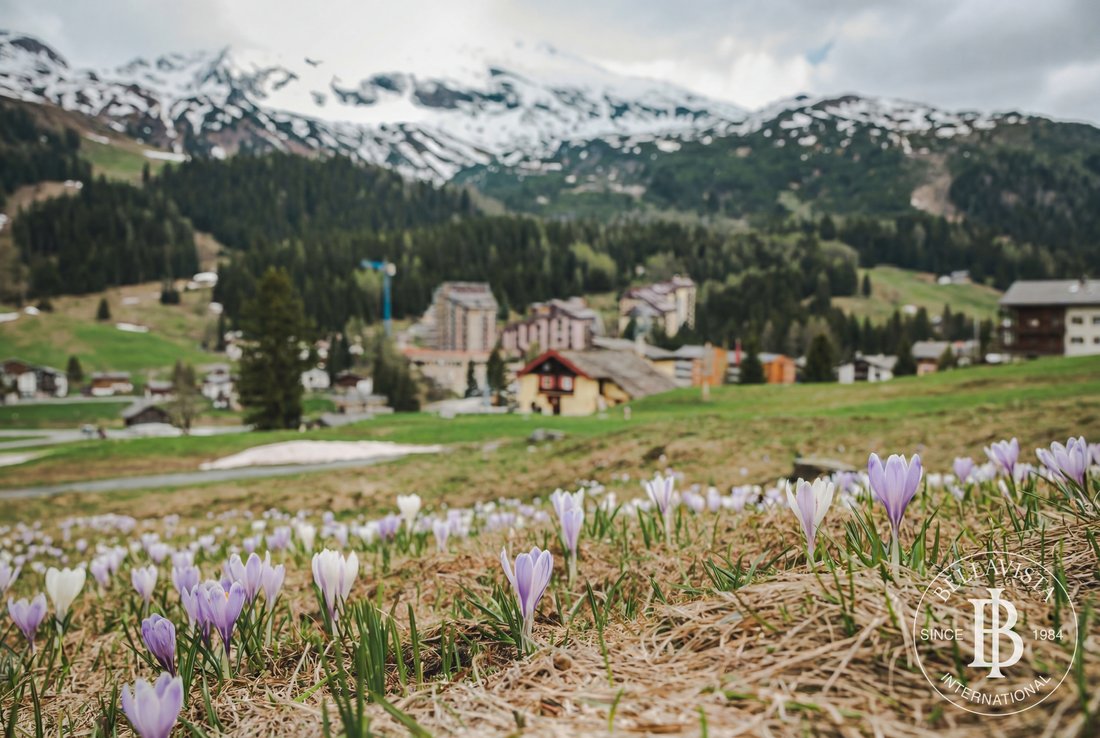 A 3.04 San Bernardino Swiss Alps Next Generation Apartments In The Swiss Alps