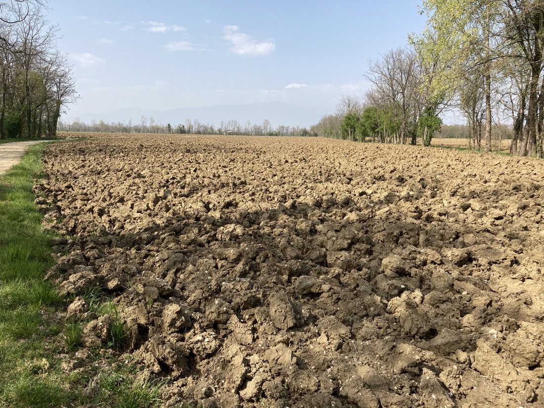 Land in Castello di Godego, Veneto, Italy 5 - 17980505