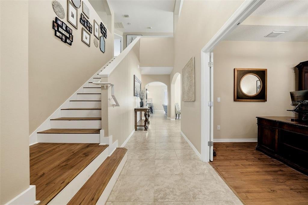 House in Land O' Lakes, Florida, United States 5 - 17980245