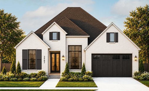 House in Conroe, Texas, United States 1