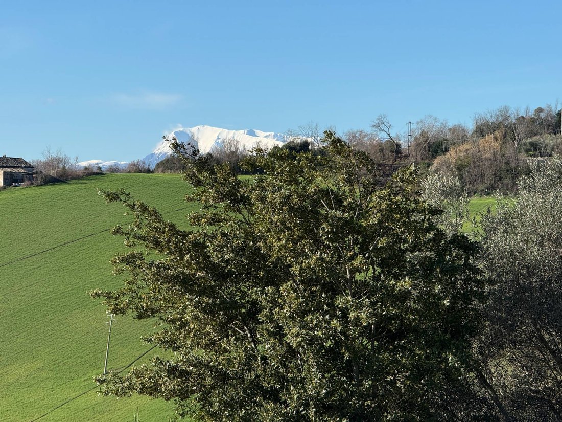 House in Southern Rural Area, Fermo, Marche 4 - 17750914