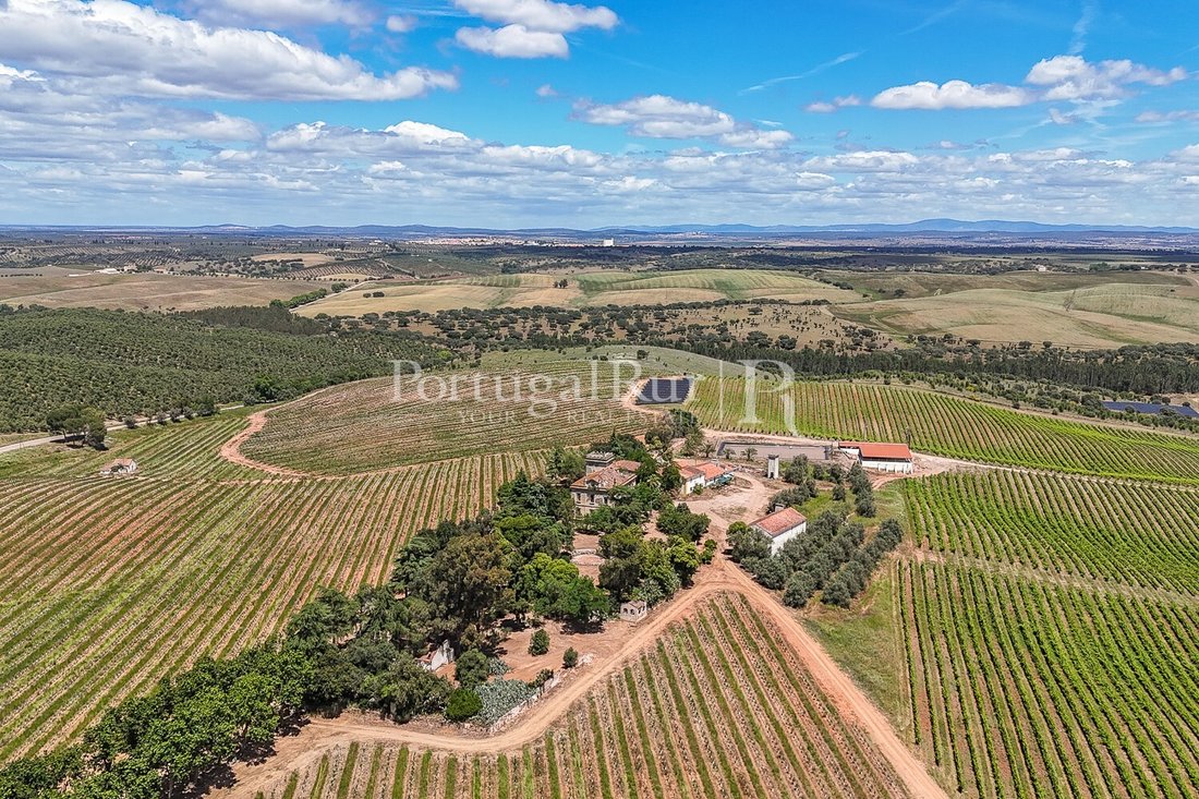 Finca in Sousel, Portalegre District, Portugal 4 - 14968414
