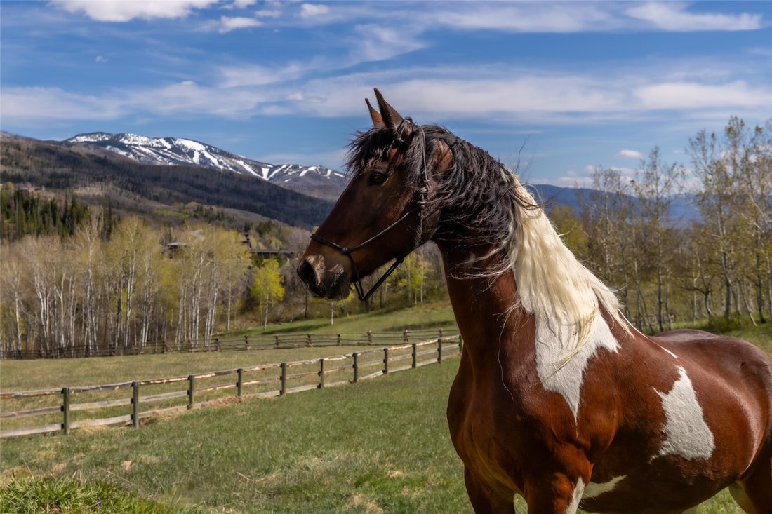House in Steamboat Springs, Colorado, United States 1 - 17980991
