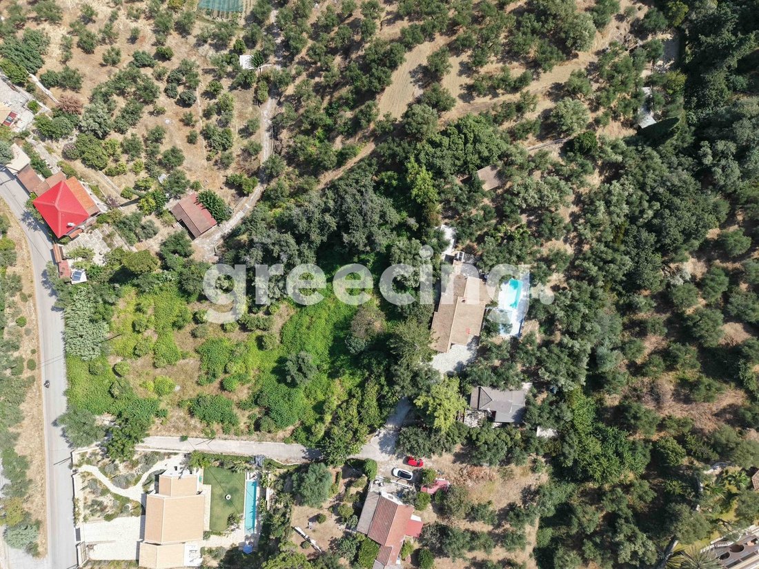 Land in Mpoxalis, Peloponnese, Western Greece and the Ionian, Greece 3 - 17975862