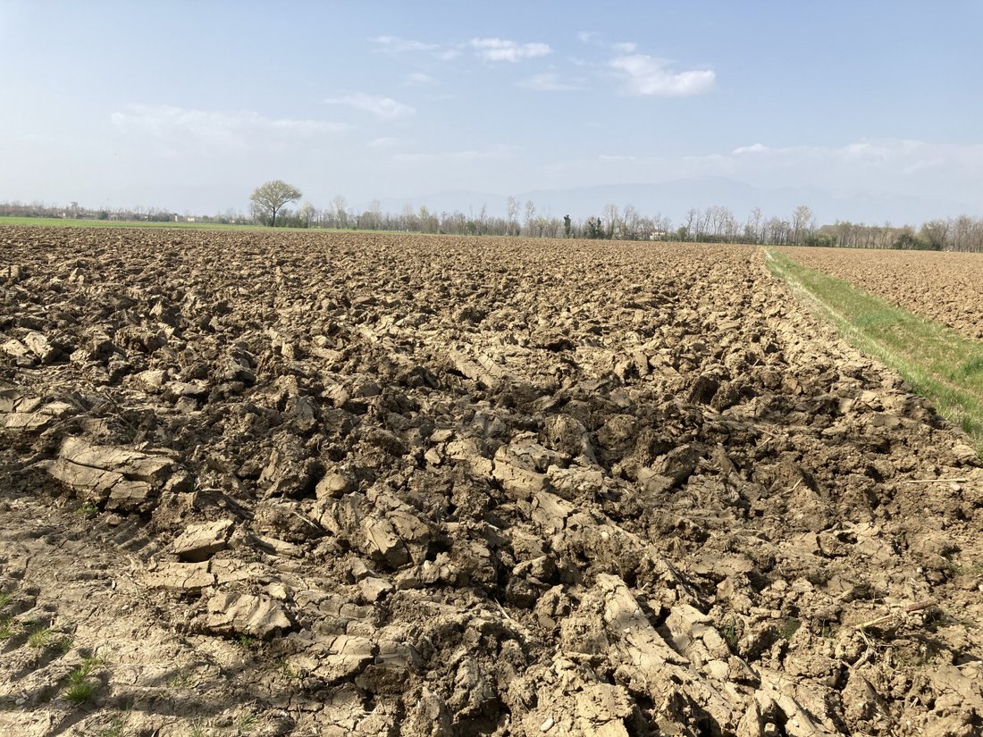 Land in Castello di Godego, Veneto, Italy 2 - 17980505