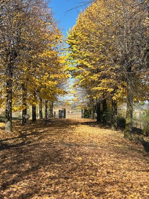 Villa in Altavilla Monferrato, Piedmont, Italy 4 - 17980938