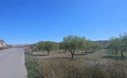 Anwesen in Murcia, Murcia, Spanien 1