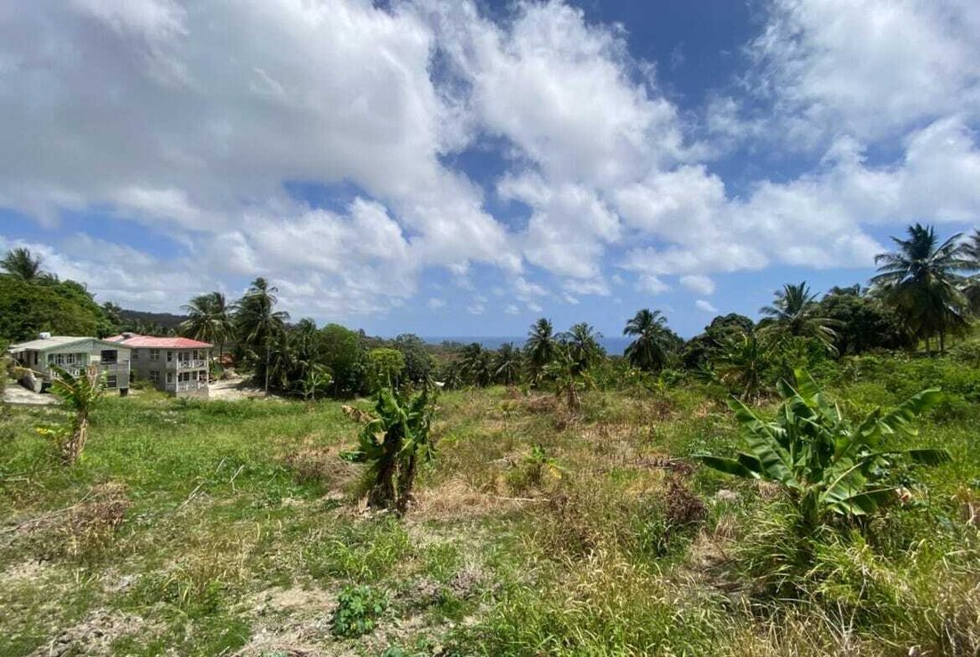 Estate in Bridgetown, Christ Church, Barbados 5 - 17978367