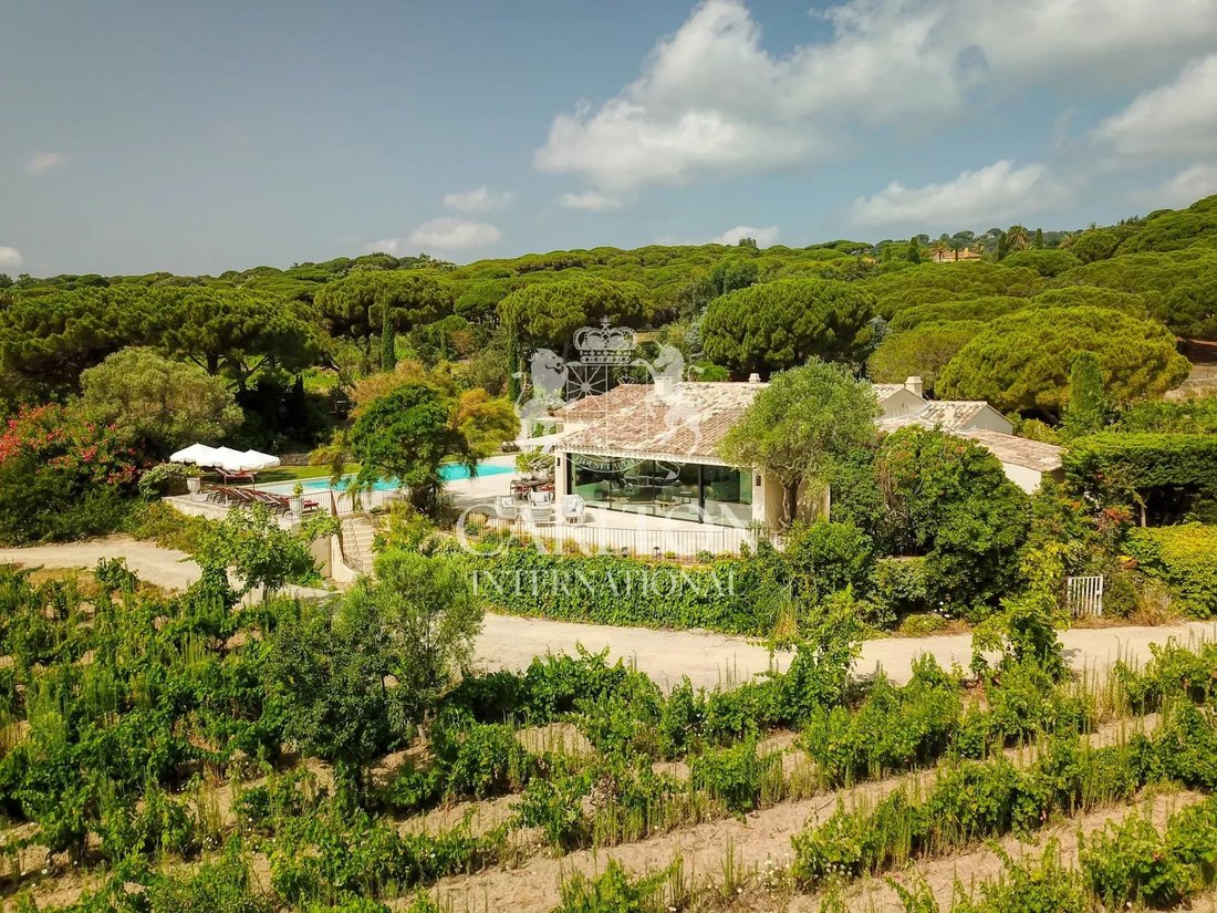 Villa in Ramatuelle, Provence-Alpes-Côte d'Azur, France 1 - 17377290