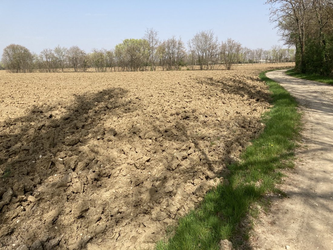 Land in Castello di Godego, Veneto, Italy 4 - 17980505