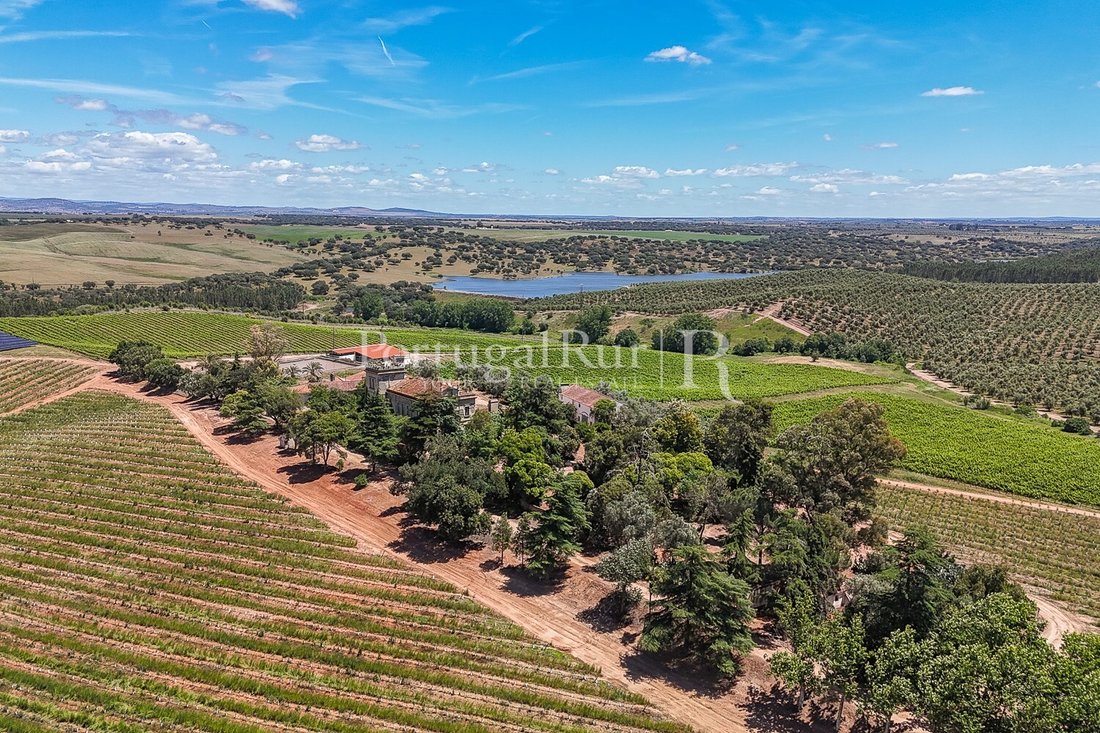 Finca in Sousel, Portalegre District, Portugal 5 - 14968414