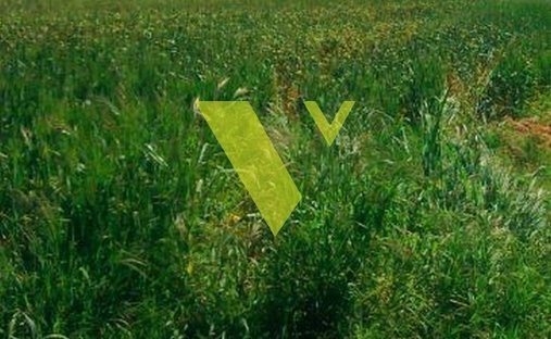 Land in Voula, Attica, Greece 1