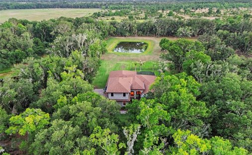 House in Lithia, Florida, United States 1