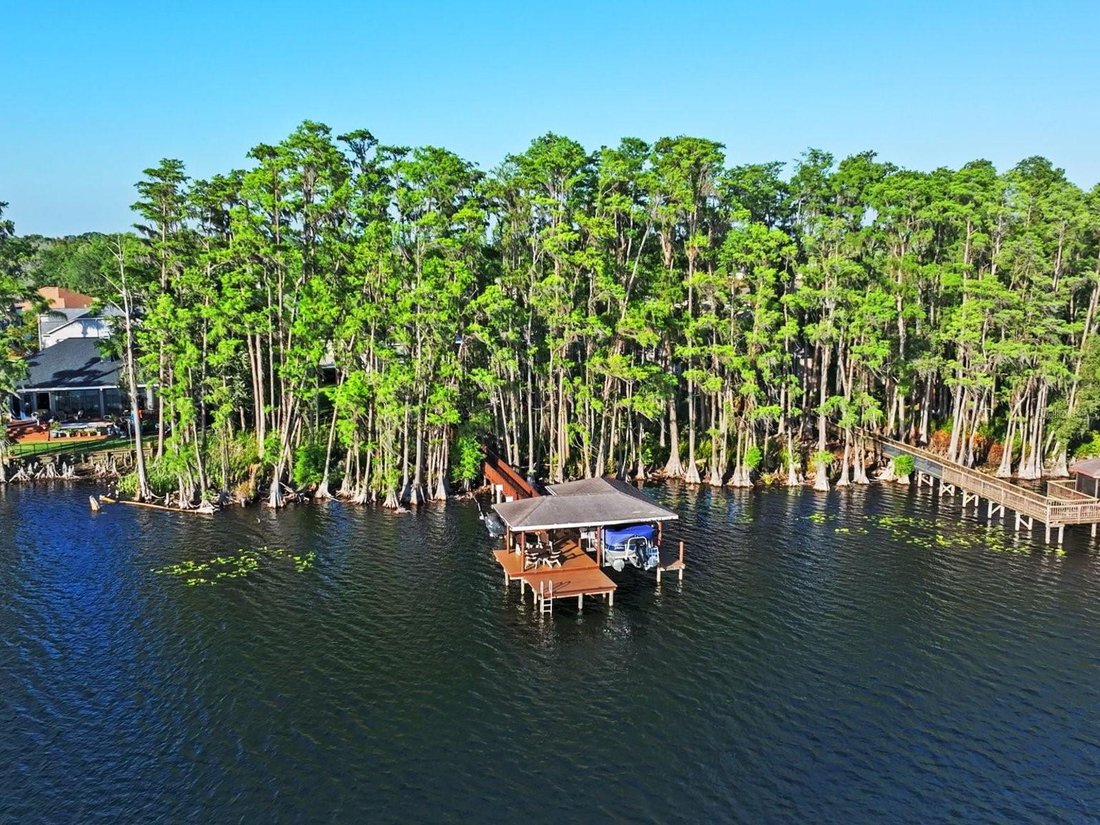 House in Land O' Lakes, Florida, United States 4 - 17979542