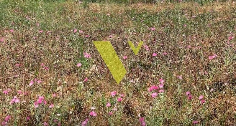 Land in Voula, Attica, Greece 1 - 17976903