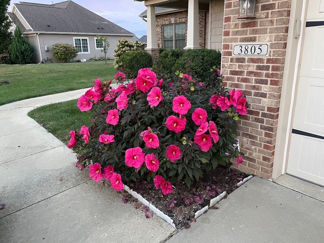 House in Champaign, Illinois, United States 4 - 17979574