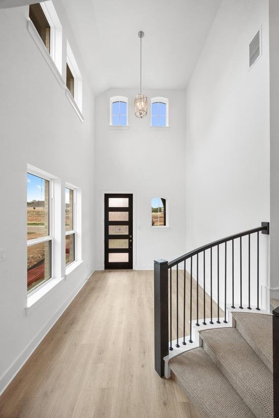 House in Georgetown, Texas, United States 5 - 17187654