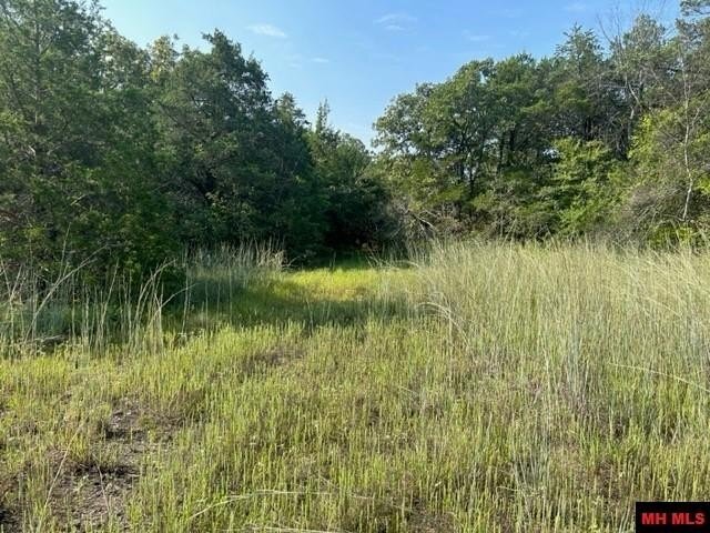 Land in Mountain Home, Arkansas, United States 5 - 13243749