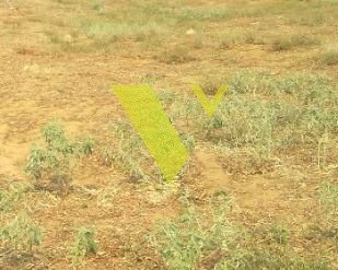 Land in Voula, Attica, Greece 2 - 17977178