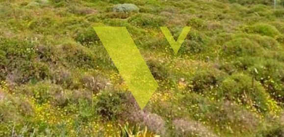 Land in Voula, Attica, Greece 2 - 17976903
