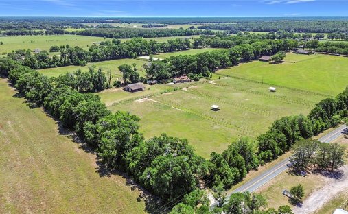 Farm Ranch in Dunnellon, Florida, United States 1