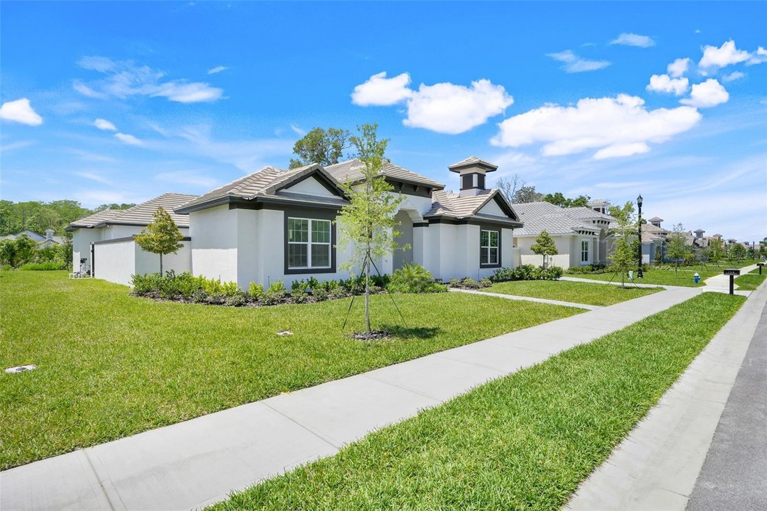 House in Palm Coast, Florida, United States 3 - 17979475