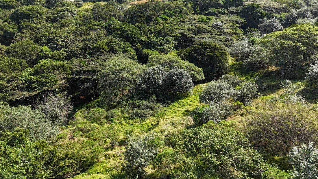 Land in Simbithi Eco Estate, KwaZulu-Natal, South Africa 4 - 17977515