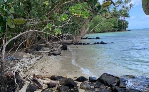 Land in Taiarapu-Ouest, Windward Islands, French Polynesia 1