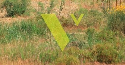 Land in Kifisia, Attica, Greece 2 - 17977003
