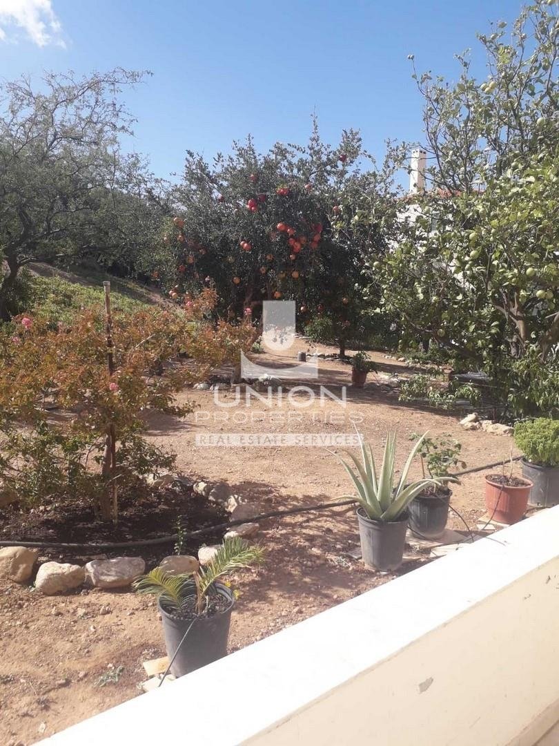House in Palea Fokea, Attica, Greece 5 - 17980928