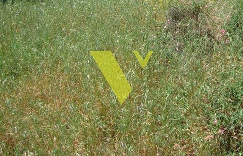 Land in Glyfada, Attica, Greece 1 - 17976368