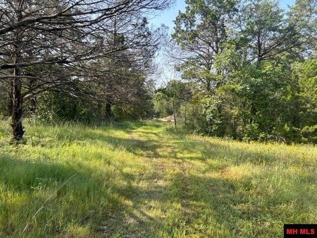 Land in Mountain Home, Arkansas, United States 4 - 13243749