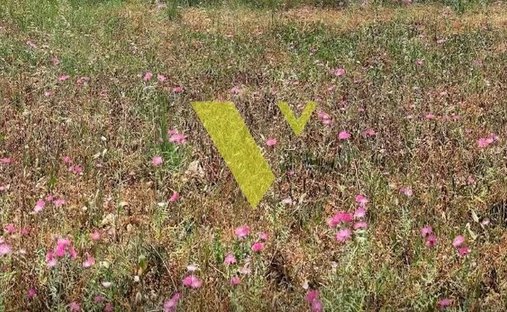 Land in Vari, Attica, Greece 1