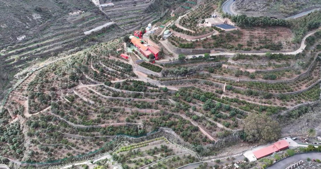 Estate in Telde, Canary Islands, Spain 5 - 16609149