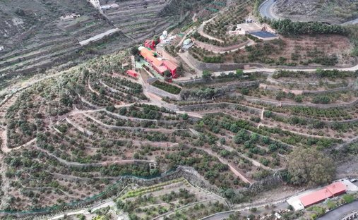 Tenuta a Telde, Isole Canarie, Spagna 1