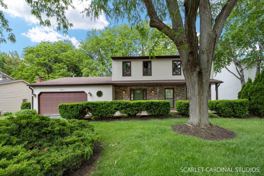 House in Naperville, Illinois, United States 1 - 17979637