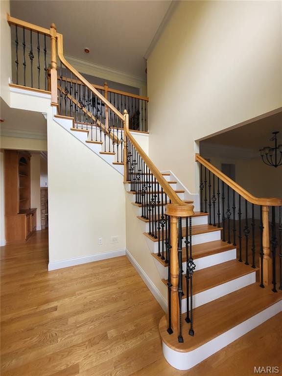 House in Olivette, Missouri, United States 5 - 17979329