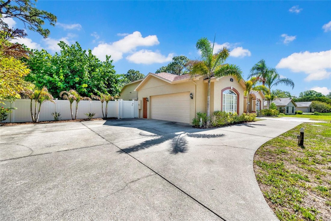 House in Trinity, Florida, United States 4 - 17975132